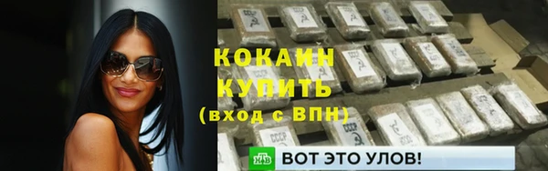 ПСИЛОЦИБИНОВЫЕ ГРИБЫ Новозыбков