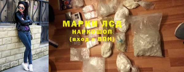 ПСИЛОЦИБИНОВЫЕ ГРИБЫ Новозыбков