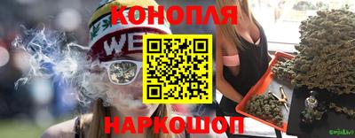 гидра Волгодонск