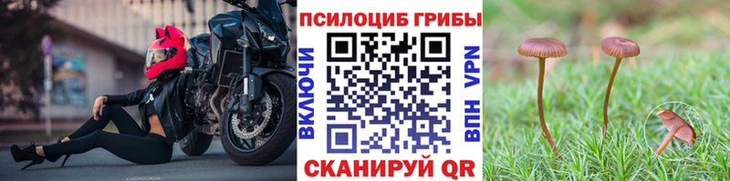 хочу   ОМГ ОМГ сайт  Галлюциногенные грибы мухоморы  Зеленодольск 