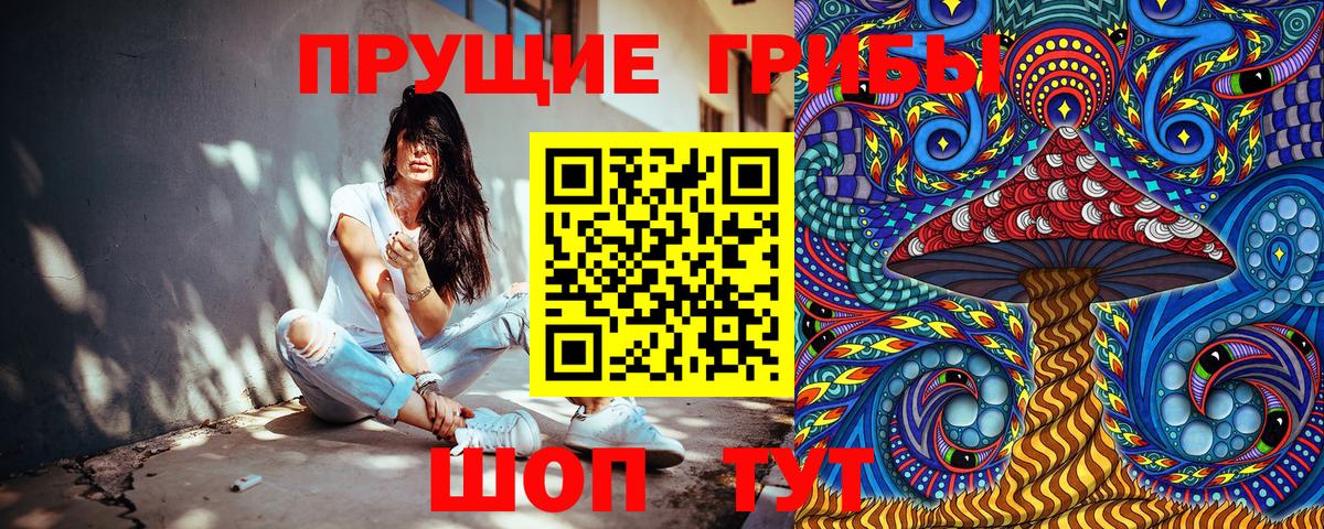 Галлюциногенные грибы Psilocybe Зеленодольск