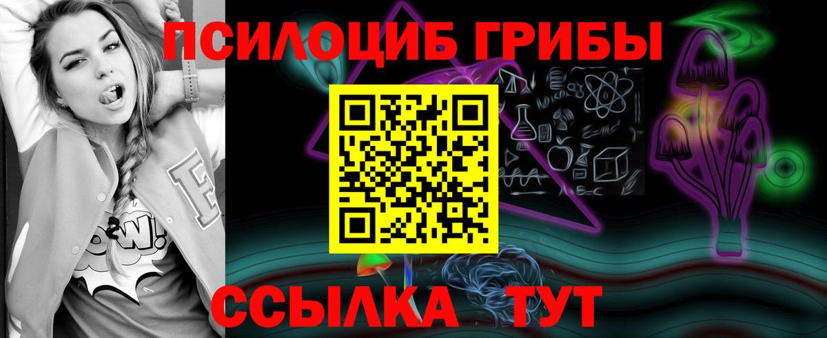 Зеленодольск  Галлюциногенные грибы GOLDEN TEACHER  Вход с VPN 