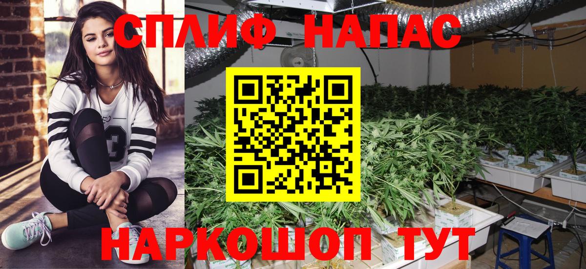 Марихуана конопля  Шишки марихуана Ganja  Бошки Шишки OG Kush  МАРИХУАНА гибрид  Зеленодольск 